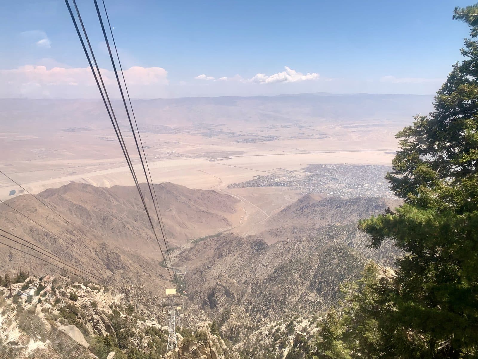 Desert landscape